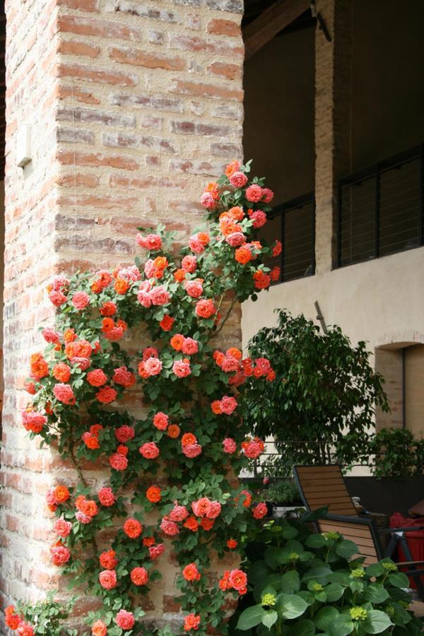 Le Tre Arti B&B San Zenone Kültér fotó